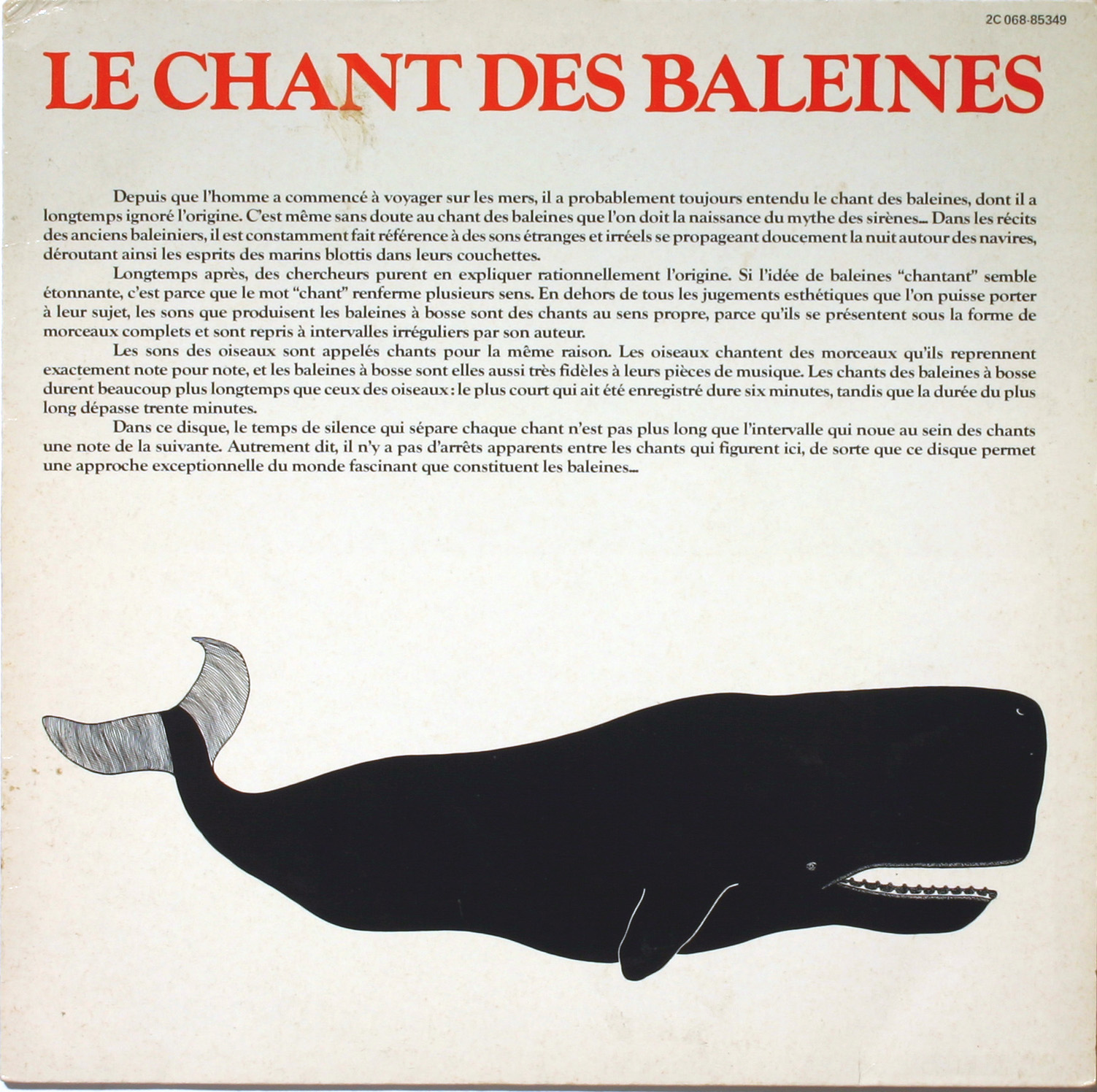 Le chant des baleines